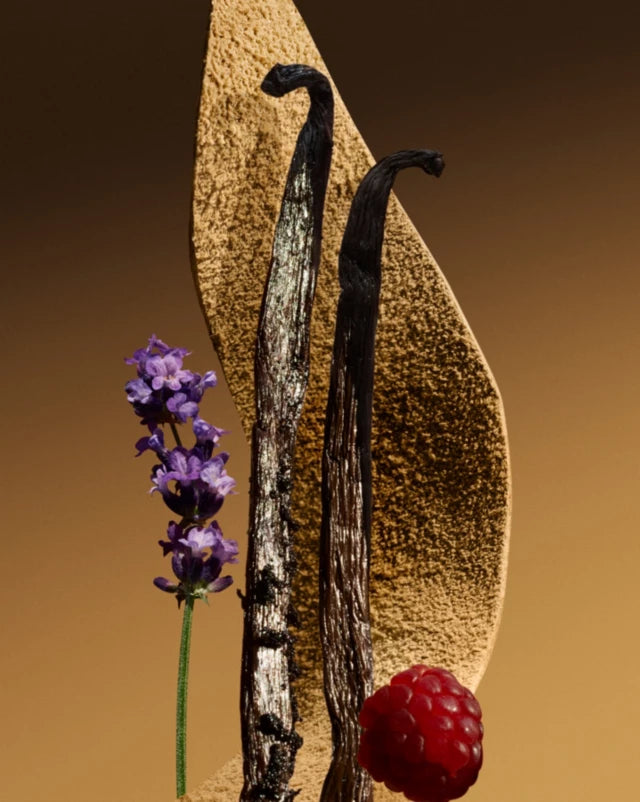 Vanilla bean, lavender flower, and raspberry on a brown background