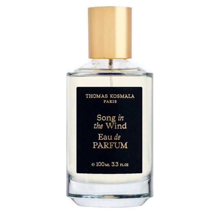 Thomas Kosmala Song In The Wind (U) Edp
