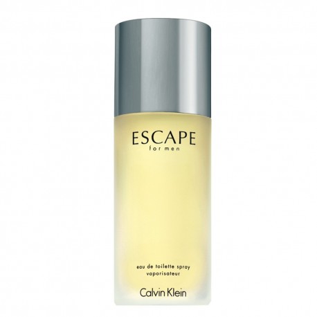Calvin Klein Escape EDT 100ml For Men